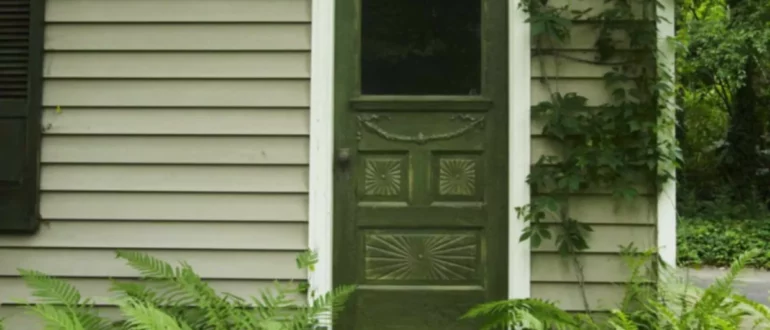 6 nápadov na zelené vchodové dvere, ktoré zvýšia vašu príťažlivosť